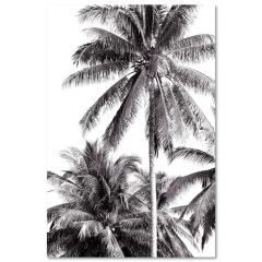 toile-palmiers-40x60