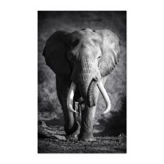 toile-verticale-elephant-100x160